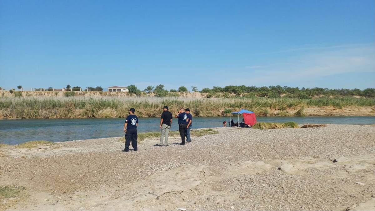 Caimán en Río Bravo. | Foto: Iván Sánchez