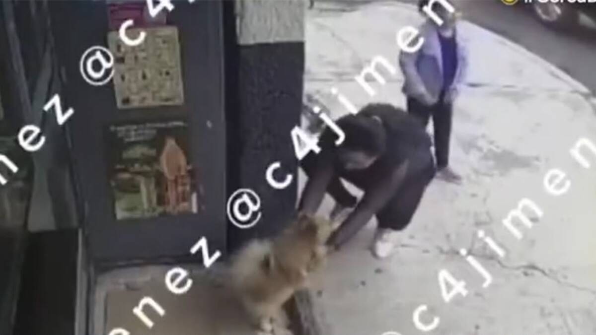Una mujer y una niña se acercaron al perro, comenzaron a llamarlo y acariciarlo | Especial