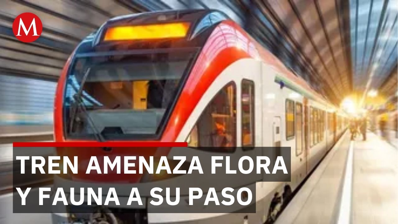 Proyecto de tren aprobado genera preocupación por falta de vigilancia ambiental en Guadalajara