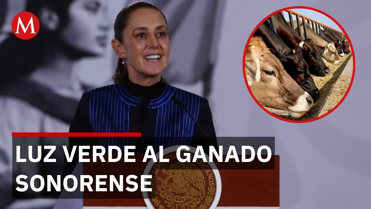 Sheinbaum anuncia la reanudación de exportación ganadera desde Sonora a EU