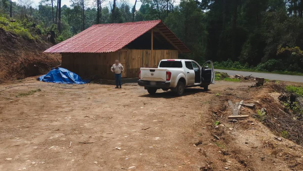Detectan remoción de vegetación, extracción de suelo y derribo de árboles en un predio de Ocuilan, Edomex. | Foto: Especial