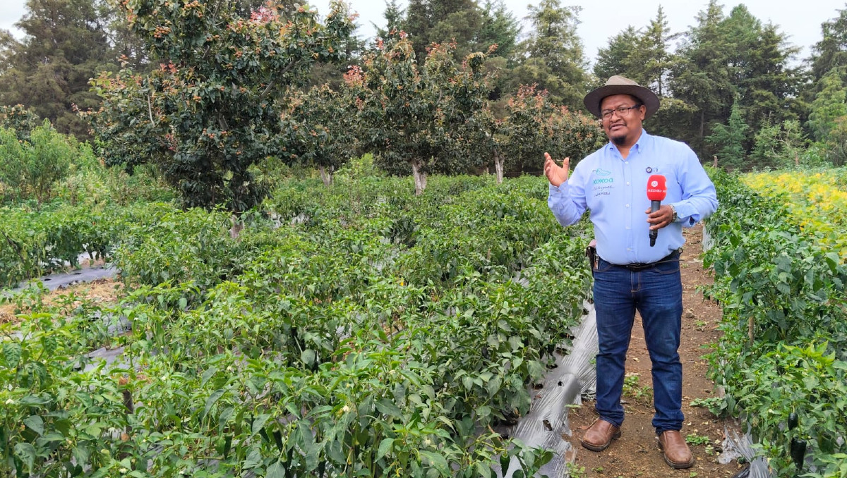 Sabores de Calpan y San Nicolás de los Ranchos hasta el final de la temporada | Rosario Portillo