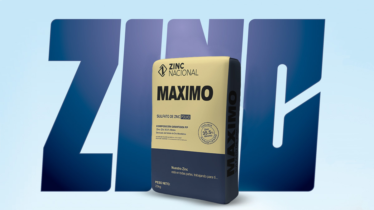 Zinc Nacional