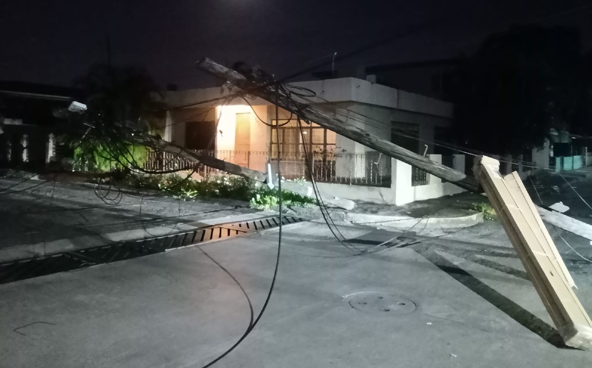 Microbús se sale de su ruta, derriba cuatro postes y chofer huye en Tampico. | Foto: Sergio Sánchez