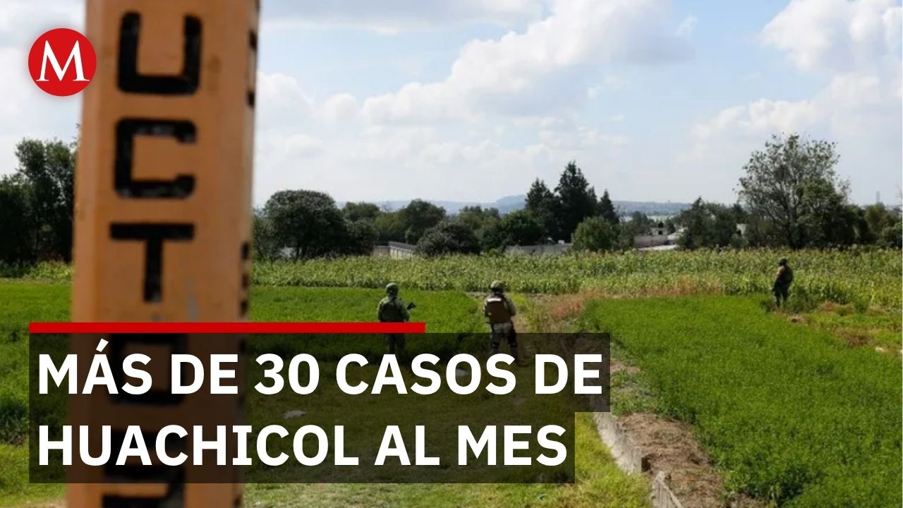 Robo de hidrocarburo en Guanajuato crece cada año y afecta precios en las gasolineras