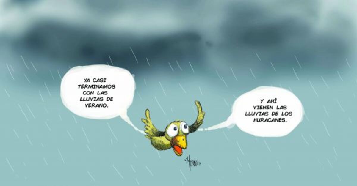 Aguas