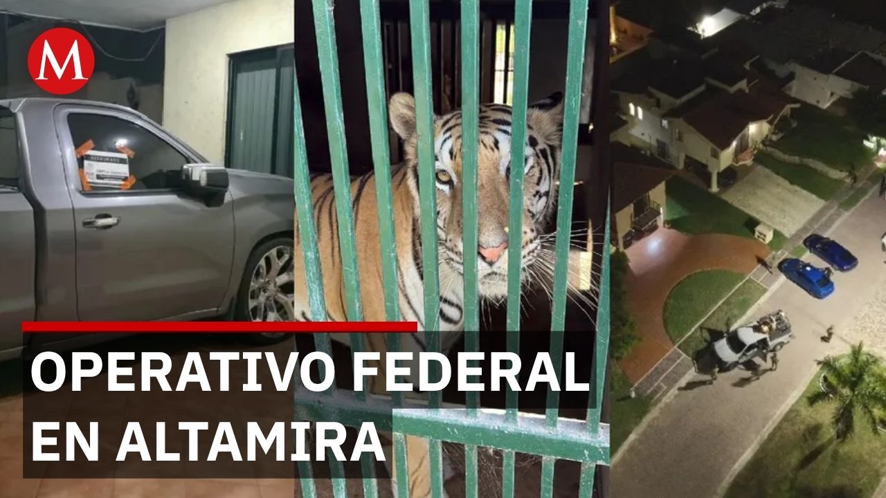 Aseguran 5 propiedades en Altamira, Tamaulipas con 68 mil litros de diésel y fauna silvestre