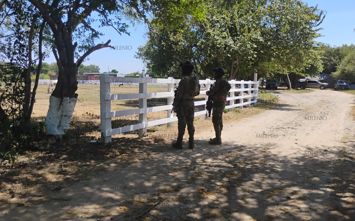 Un camello, un ligre y 135 animales: el extraño zoológico que apareció en un rancho de Tamaulipas. | Foto: Anahy Meza