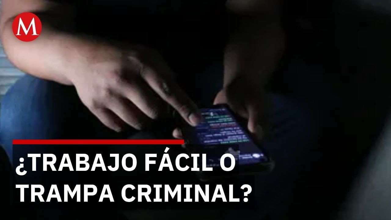 Detectan 502 cuentas falsas que reclutan jóvenes para el crimen en Jalisco