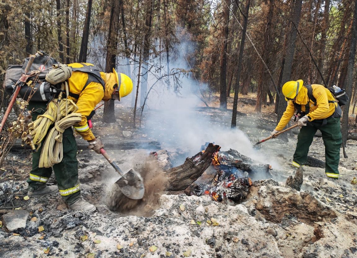 Fueron enviados aproximadamente 300 combatientes de la Comisión Nacional Forestal. (Foto:  CONAFOR @CONAFOR)