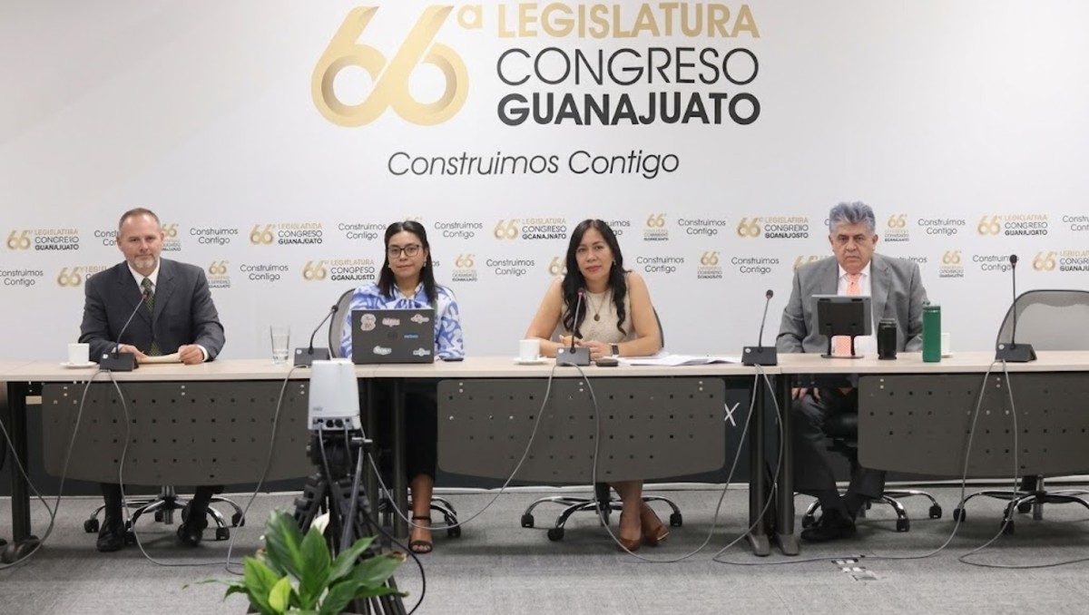 Guanajuato buscan fortalecer leyes contra la violencia de género | Especial