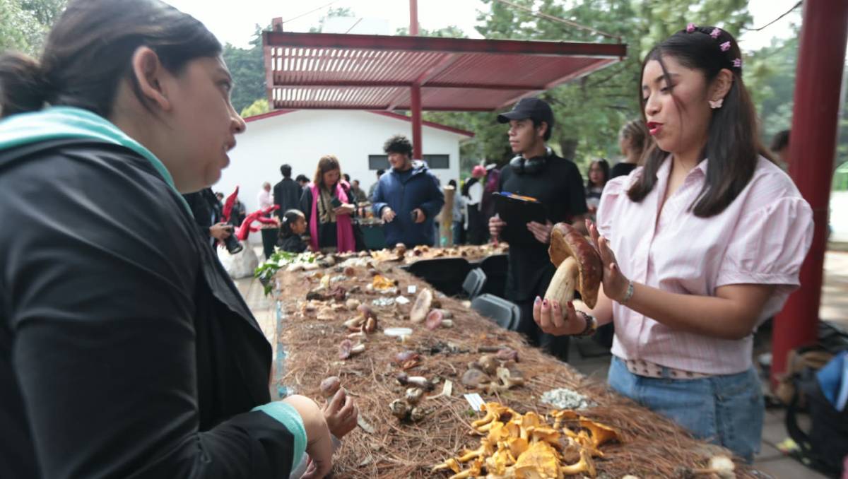 Investigadores, estudiantes y recolectores intercambian conocimientos sobre hongos durante la XXXVI exposición de la UAEMéx. | Foto: Tania Contreras