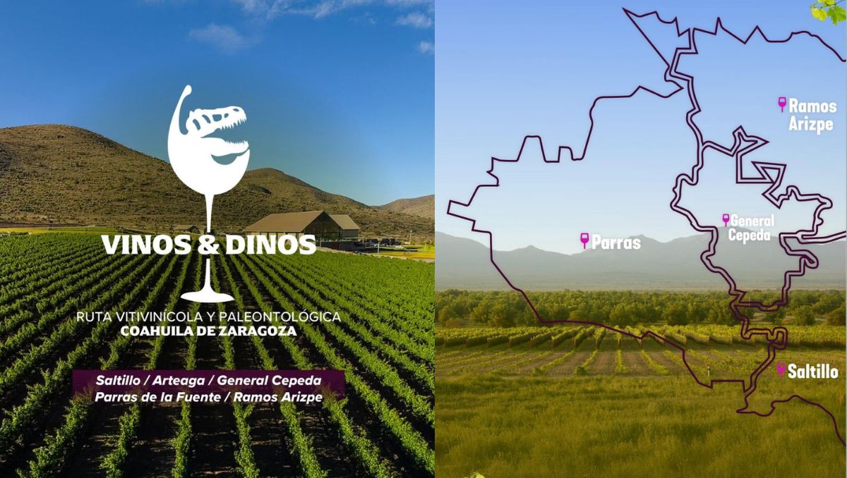 'Vinos y Dinos', la ruta turística que une vino y paleontología. | Cortesía de Goberino del Estado de Coahuila