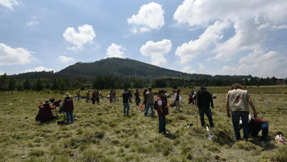 La jornada se realizó de manera simultánea en distintos puntos de la entidad. Foto: Tania Contreras