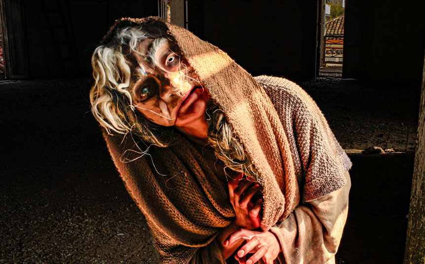 La obra fue creada, dirigida y es interpretada por Sandra Mtz. Nicolini (Foto: Dariz Somoza)