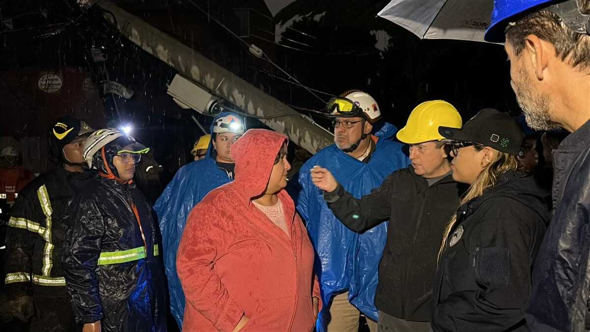 La caída del árbol se registró en calles del Barrio San Lucas, en la alcaldía Coyoacán. | Especial