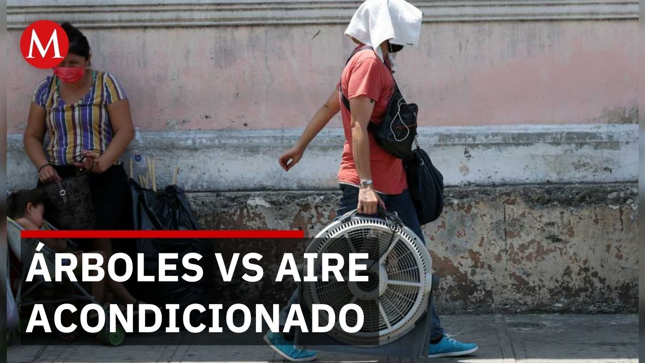 Ciudades buscan reducir calor con árboles, pero aire acondicionado agrava el problema
