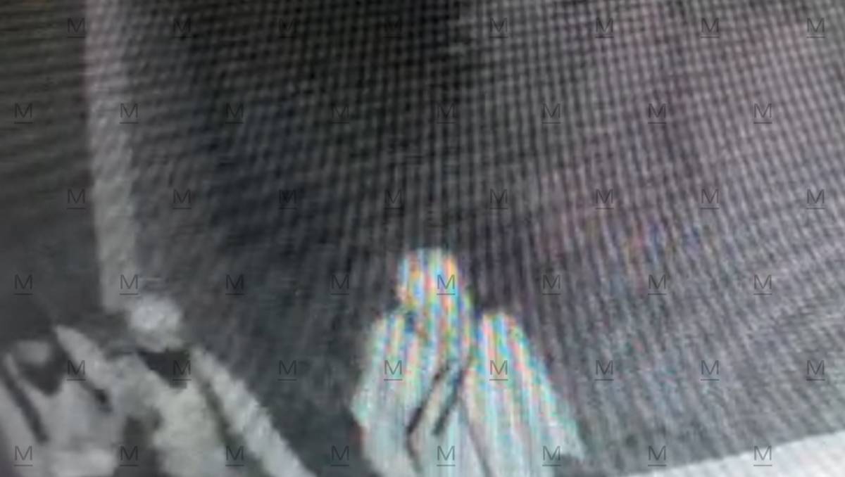 El grupo de hombres quedó grabado por una cámara de vigilancia