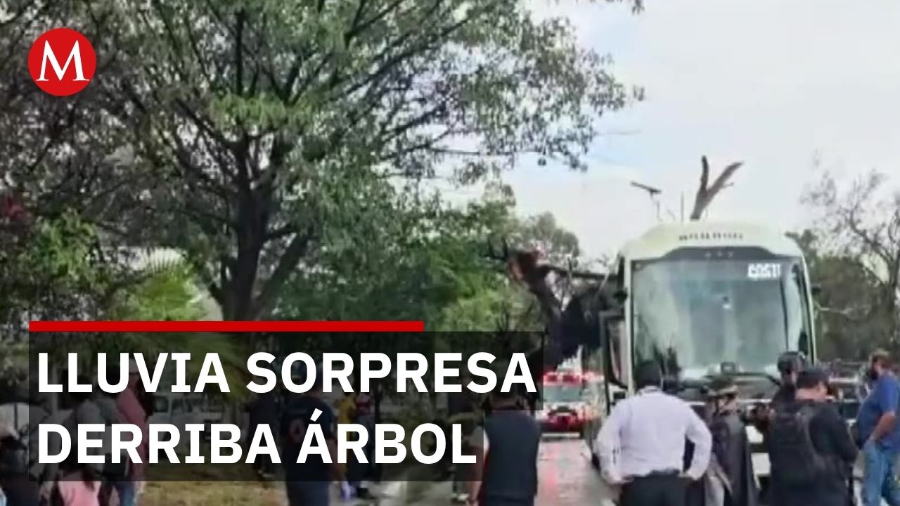 Lluvia sorpresa en Chilpancingo derriba árbol sobre autobús con 3 lesionados
