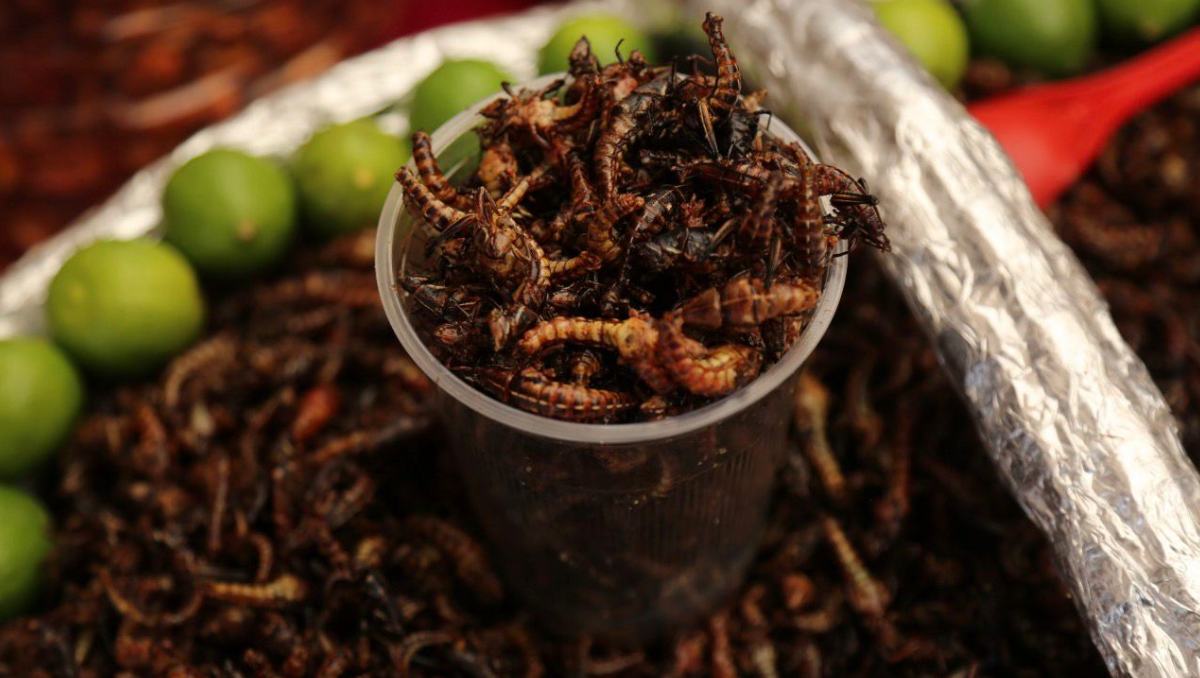 El pabellón reunirá artesanías, ingredientes, utensilios y productos ligados a la cocina tradicional mexiquense. | Foto: Especial