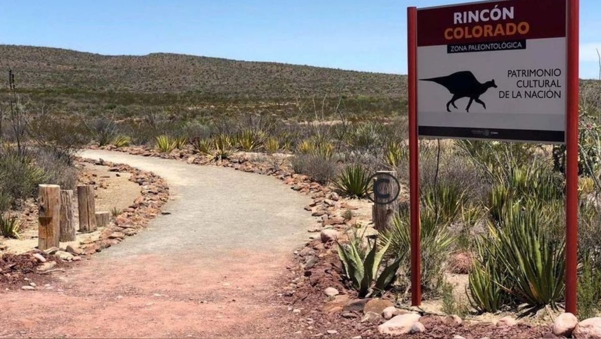 La propuesta busca impulsar a General Cepeda como el “Valle de los Dinosaurios”. | Esmeralda Sánchez
