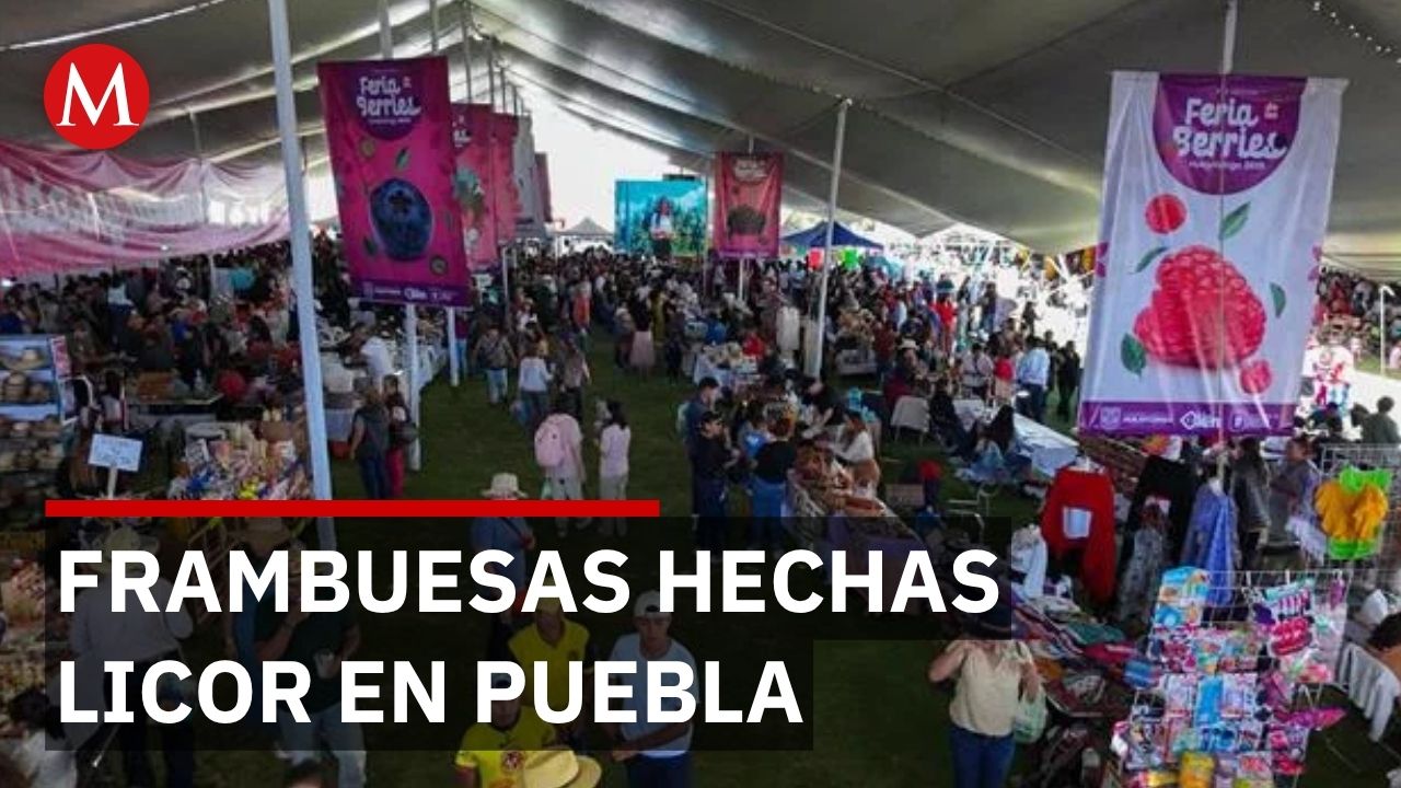 En Puebla crean bebidas alcohólicas únicas a partir de frambuesas y berries