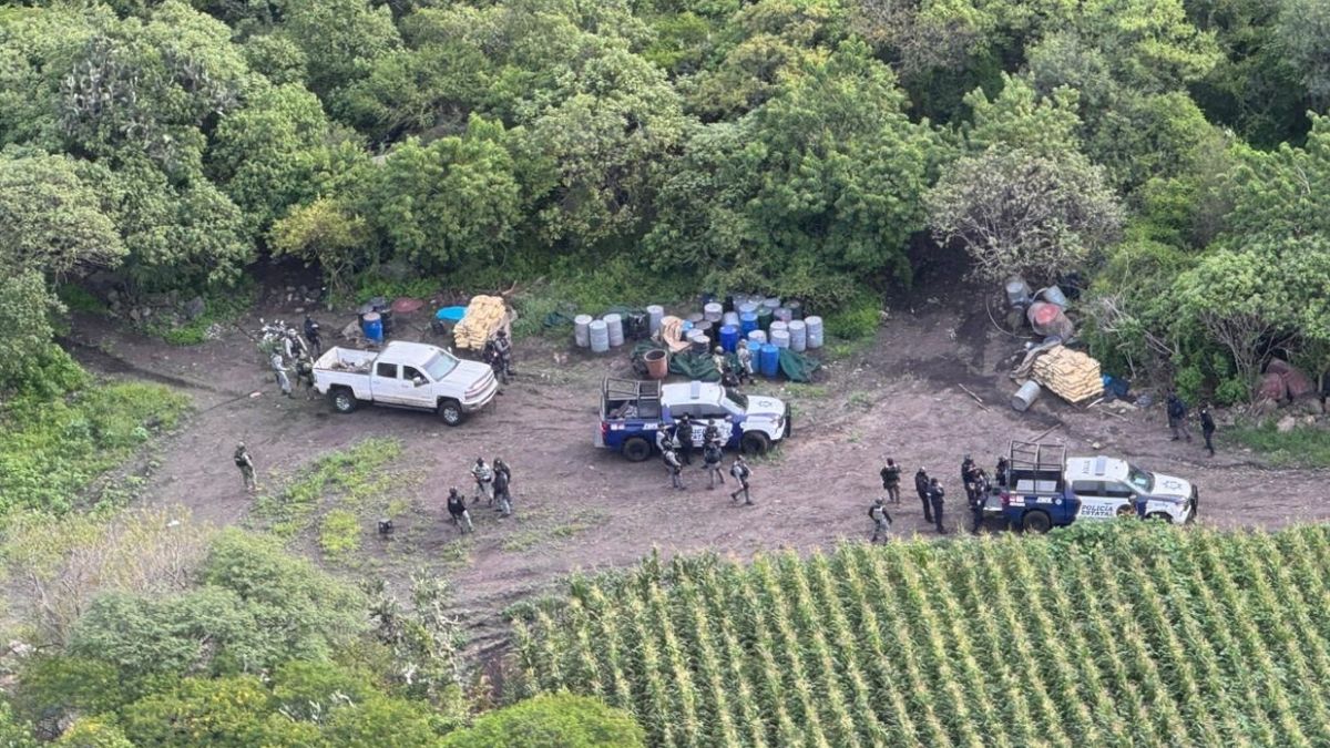 Agentes estadounidenses compartieron información pero no operaron en territorio guanajuatense. |  Secretaría de Seguridad y Paz de Guanajuato.