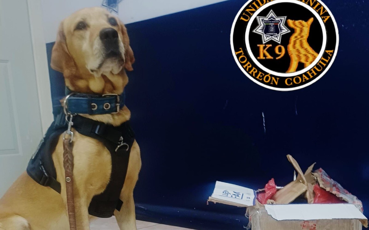 El binomio canino detectó un paquete que llamó su atención. | Foto Cortesía DSPM Torreón