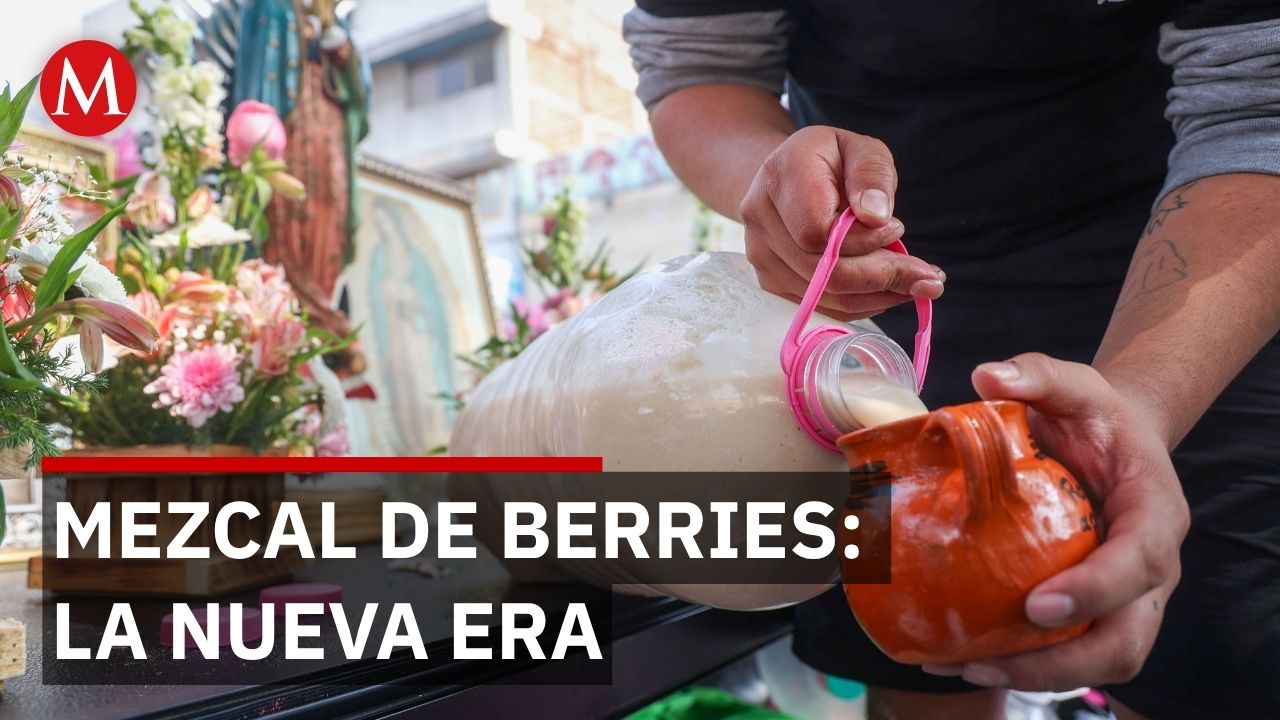 Productores de Huejotzingo crean mezcal de berries innovando la tradición del pulque