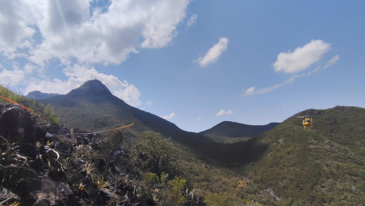 Protección Civil Nuevo León y la Brigada Fénix reanudaron el combate aéreo y terrestre | Especial