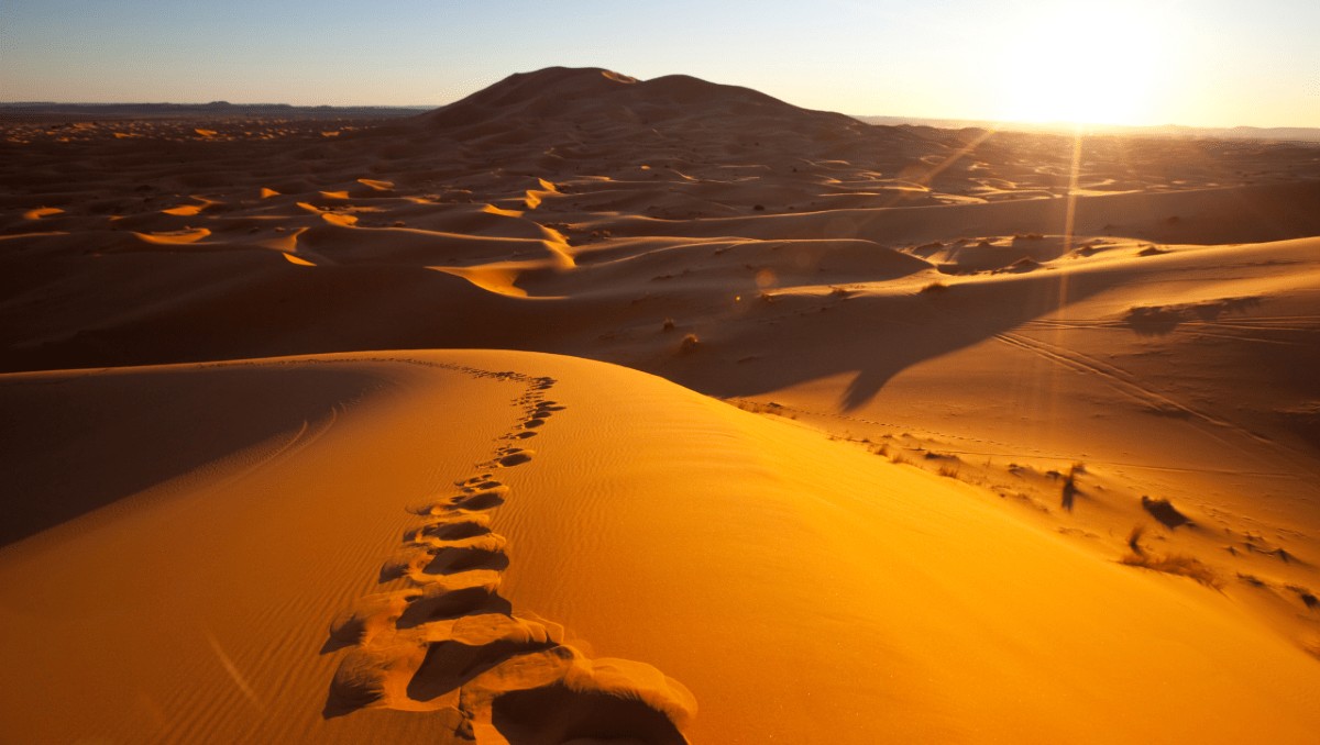 El desierto del Sáhara. | Instituto de Ciencias de la Atmosfera y Cambio Climático