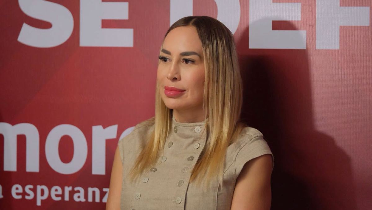 Erika Pérez afirma que  desde Morena se oponen a la intervención de asociaciones público-privadas (facebook.com/ErikaPerez.mx)
