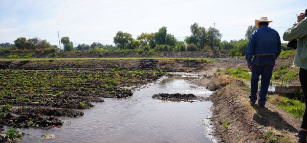 La segunda etapa contempla intervenir unos 350 kilómetros de canales principales y ramales en tres distritos Cortesía