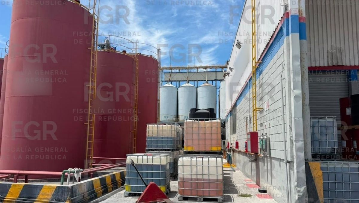 FGR y Fuerzas Armadas aseguran sofisticados huachitúneles y flotillas de transporte pesado | Especial