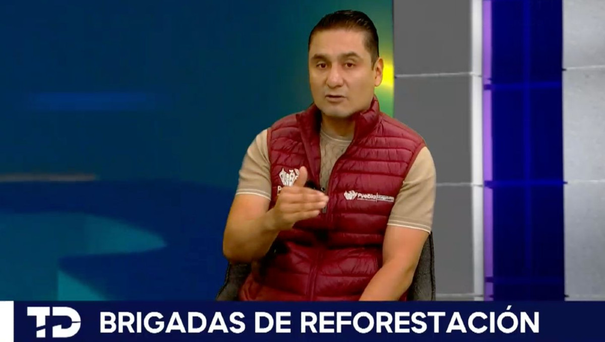 Iván Herrera Villagómez, secretario de Medio Ambiente municipal de Puebla | Especial
