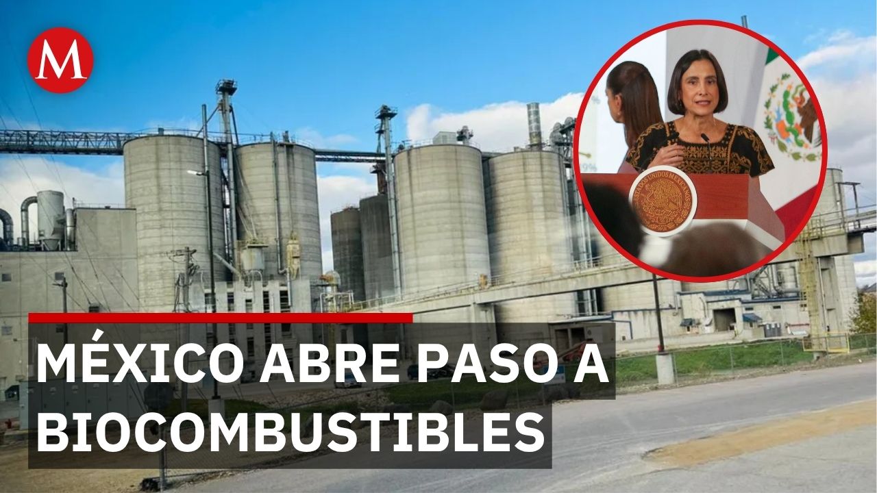 Secretaría  de Energía abre mercado de biocombustibles con requisitos rigurosos de control
