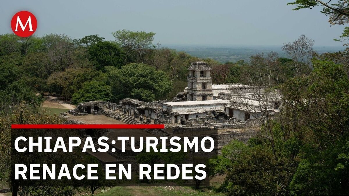 TikTok y Facebook: las redes que salvan el turismo en la Selva Lacandona