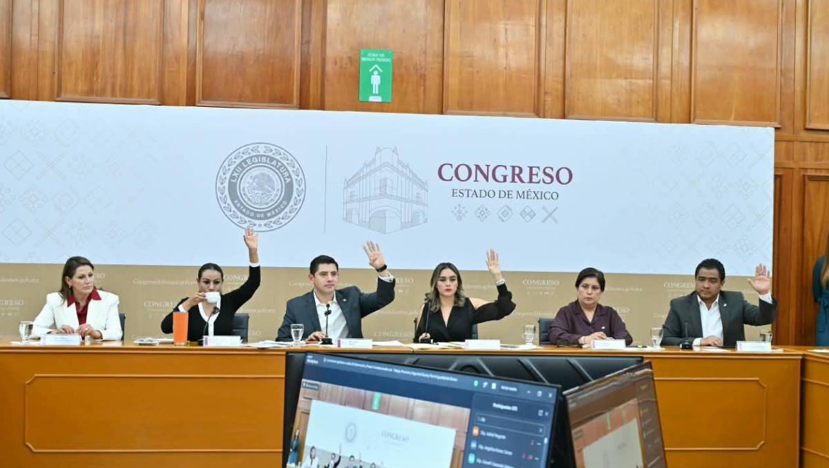 Comisiones del Congreso mexiquense avalaron una ley para garantizar el derecho al cuidado digno mediante un sistema integral. | Foto: Especial