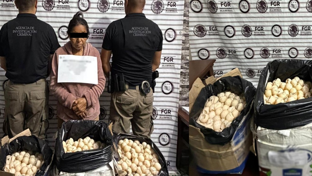 La mujer  fue puesta a disposición ministerial tras ser sorprendida en posesión ilegal de huevos de tortuga en territorio chiapaneco.| Foto: Especial