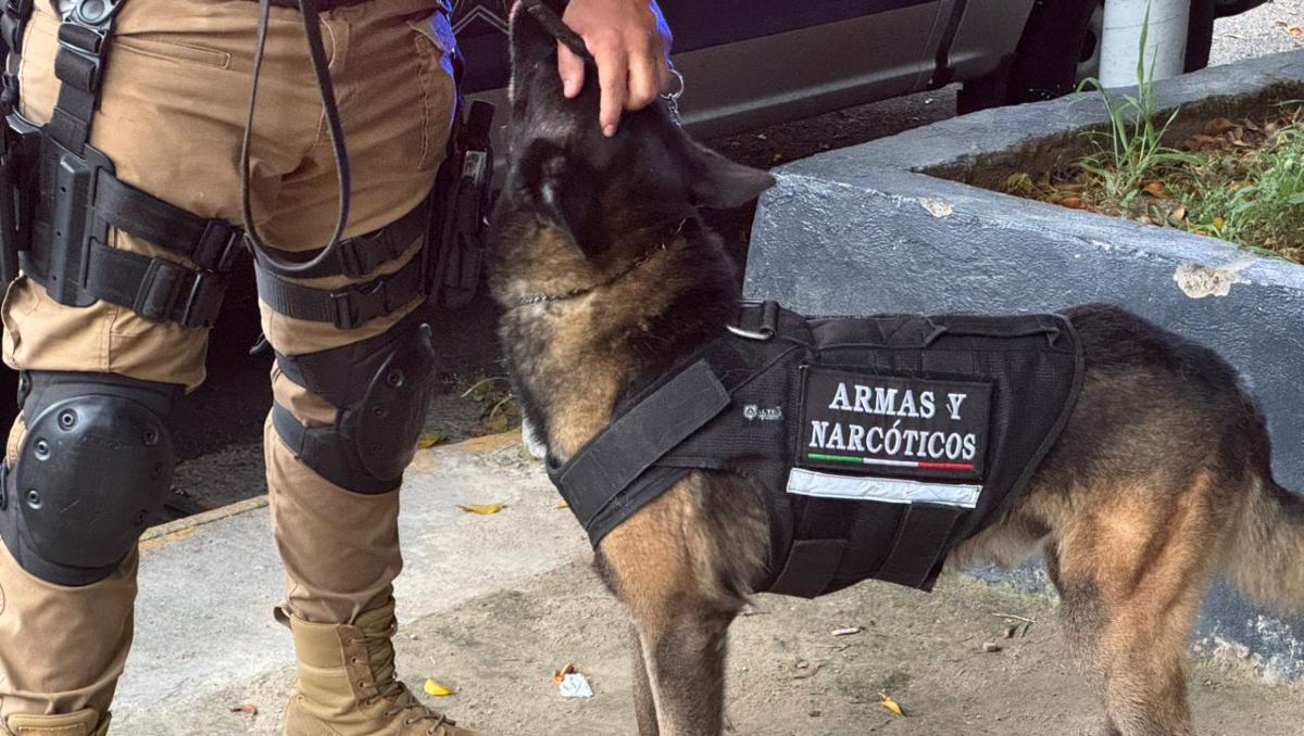 La policía llegó al lugar con perros para rastrear el arma (Luis Ángel Pedraza)