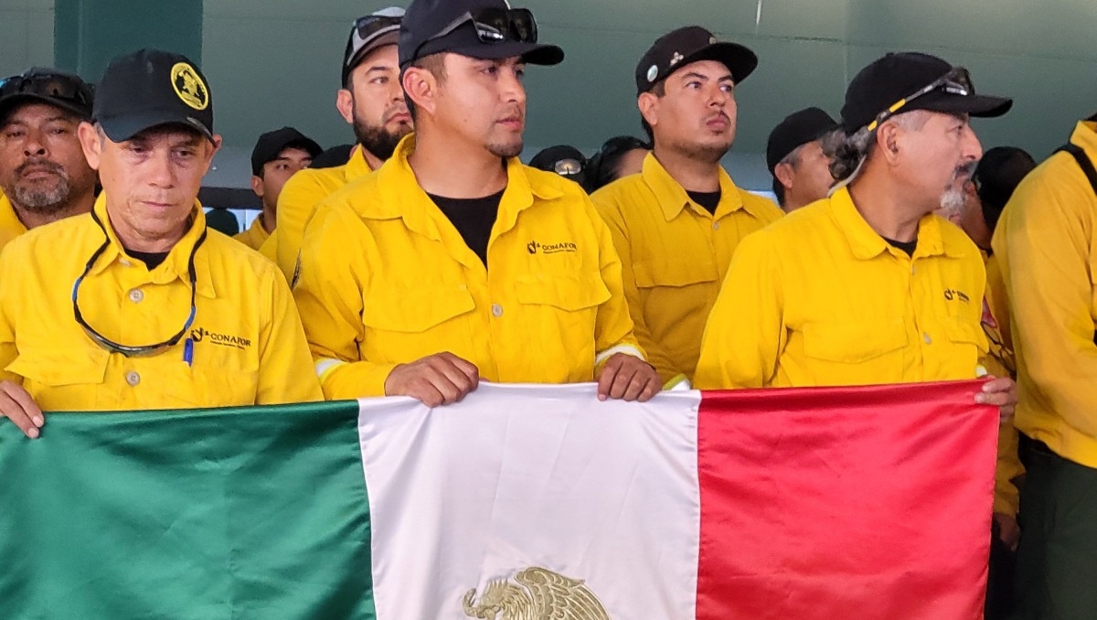 Vuelve a México brigada de la Conafor. | Foto: X: @CONAFOR