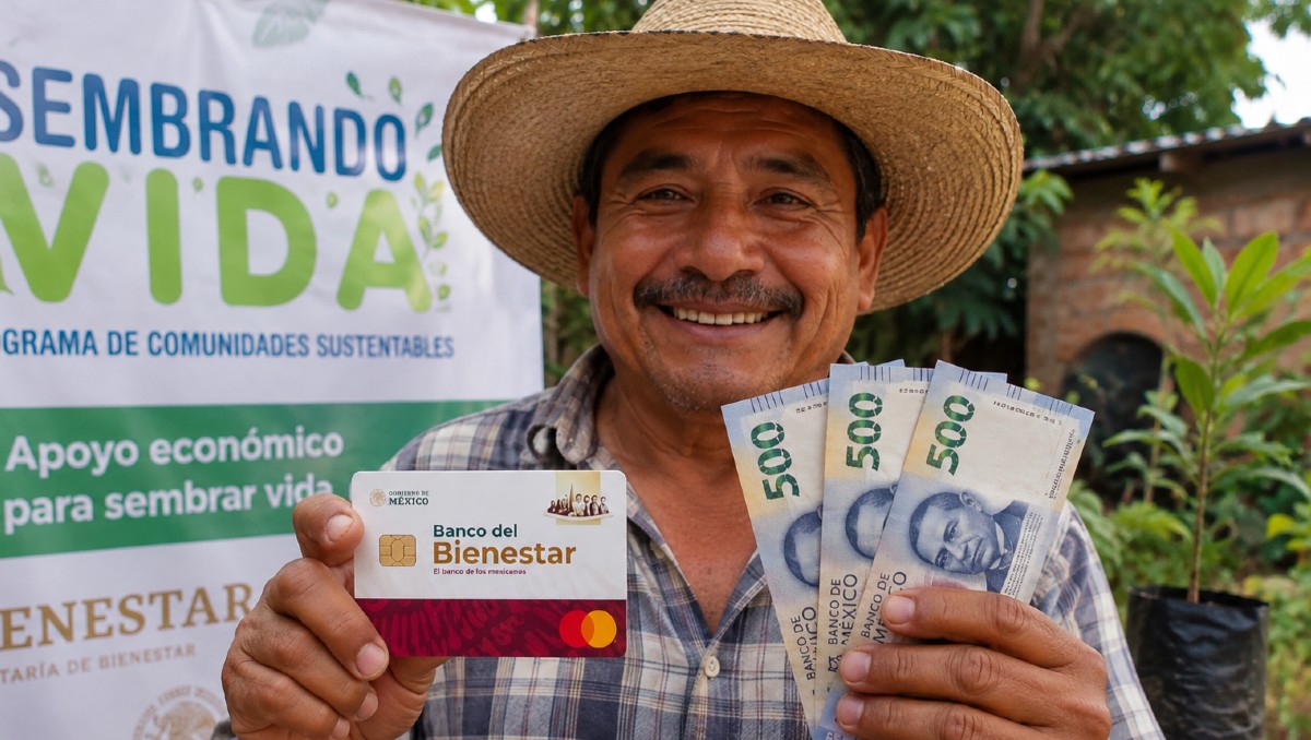 Confirman fecha de pago del programa Sembrando Vida | IA DISCOVER