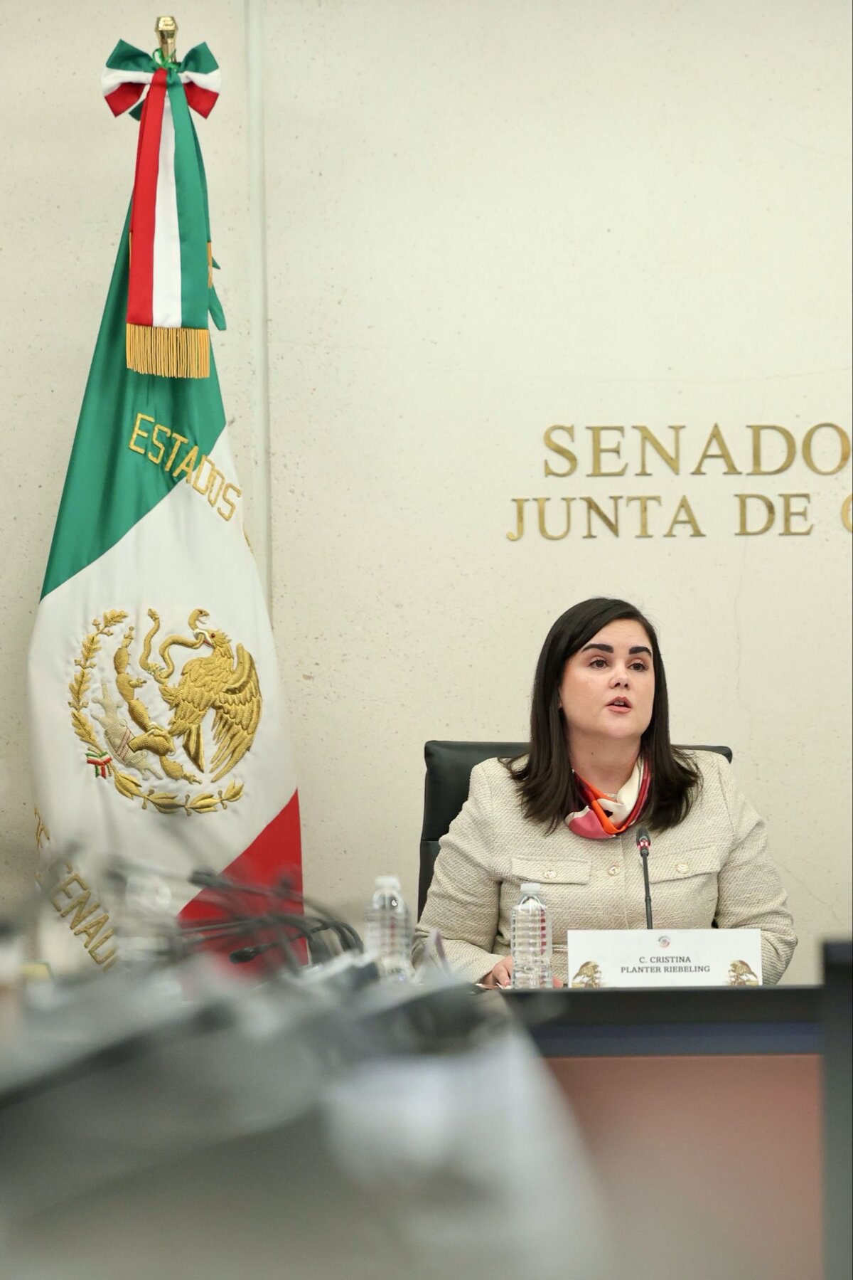 Cristina Planter Riebeling cuenta con una amplia trayectoria en la Cancillería. | Foto: X (@cristinaplanter)
