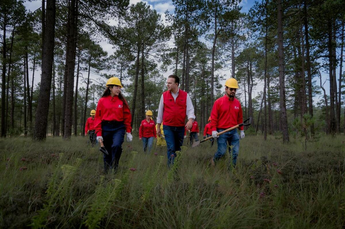 En Durango, gobernador destaca avances en conservación forestal. | Foto: cortesía del Gobierno de Durango.
