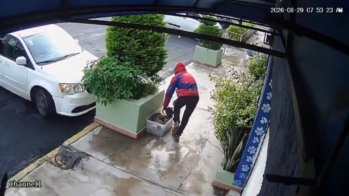 El hombre fue captado por cámaras de videovigilancia. | Especial