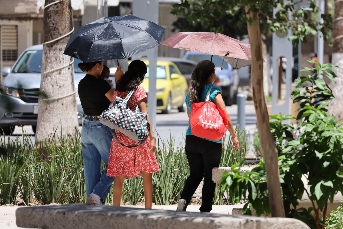 Onda de calor en La Laguna. | Foto: Verónica Martínez