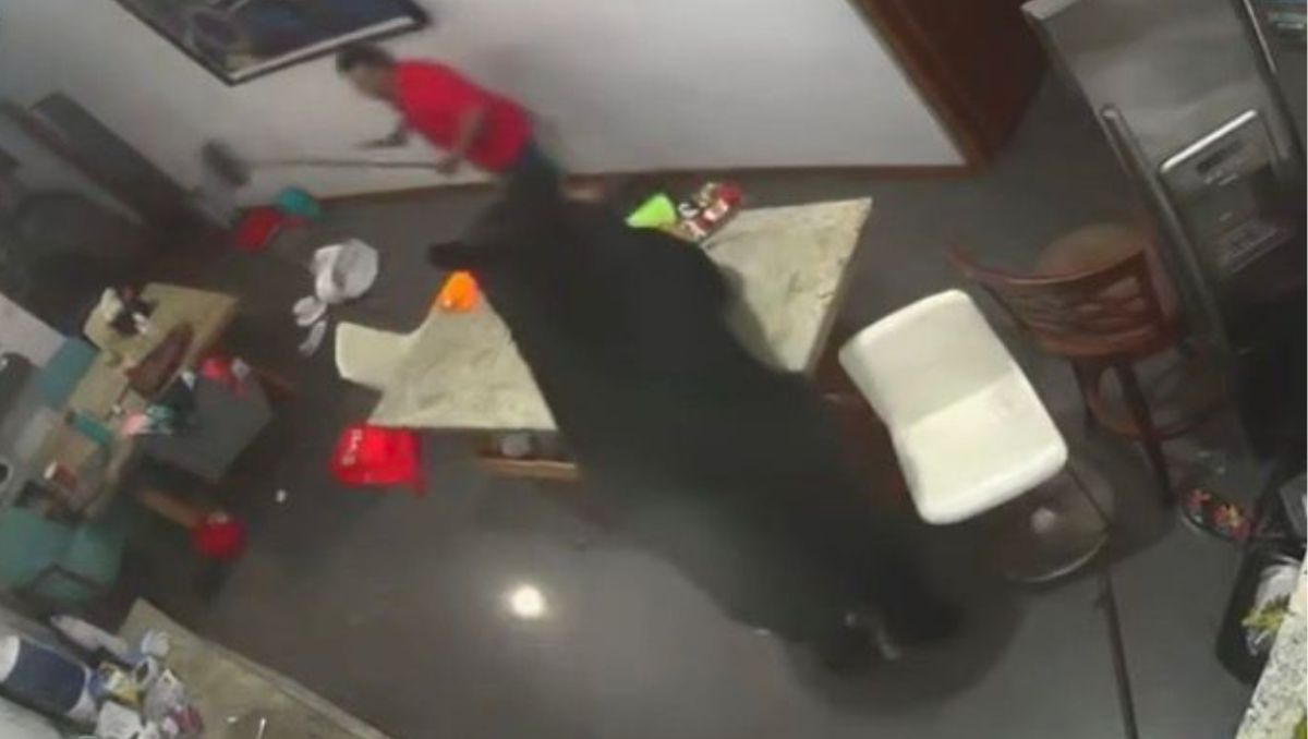 Oso ingresa a casa en colonia Onila en San Pedro | Foto: Especial