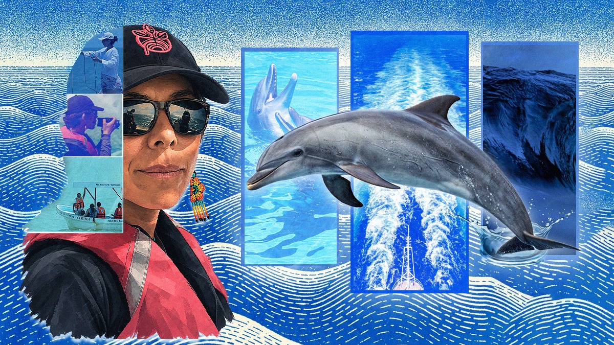 PORTADA | Una científica escucha a los delfines cautivos y quiere devolverlos al mar
