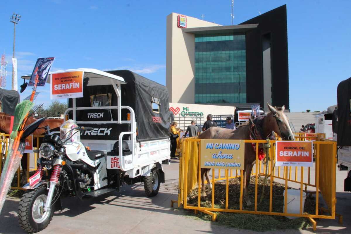 Entregan motocarros para servicios libres de tracción animal. | Foto: Roberto Amaya
