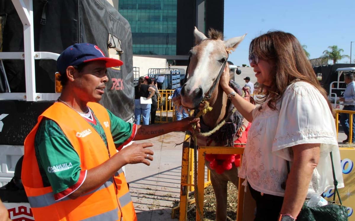 Equinos jubilados en Torreón serían adoptados. | Roberto Amaya